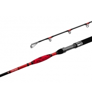 Delphin DANGER CatFISH